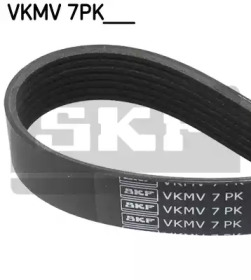 VKMV 7PK1605 SKF  